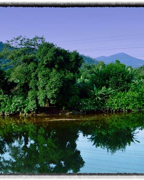 Rio e mata atlântica em Cubatão
