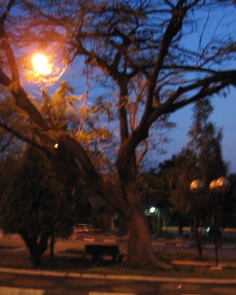 Parque em Paulínia